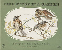 Bird Study in a Garden