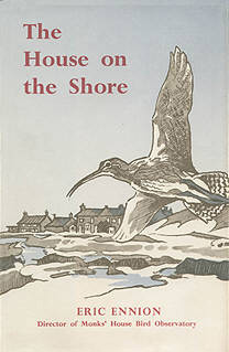 The House on the Shore