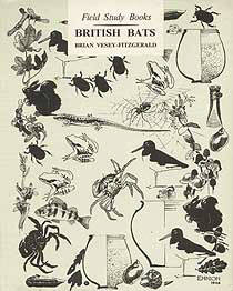 British Bats