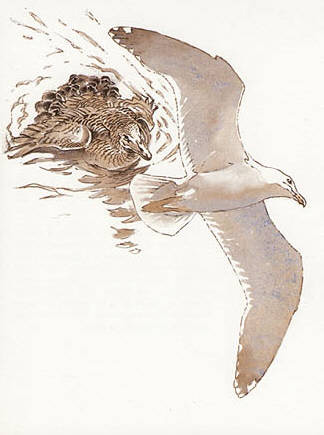 Signals for Survival